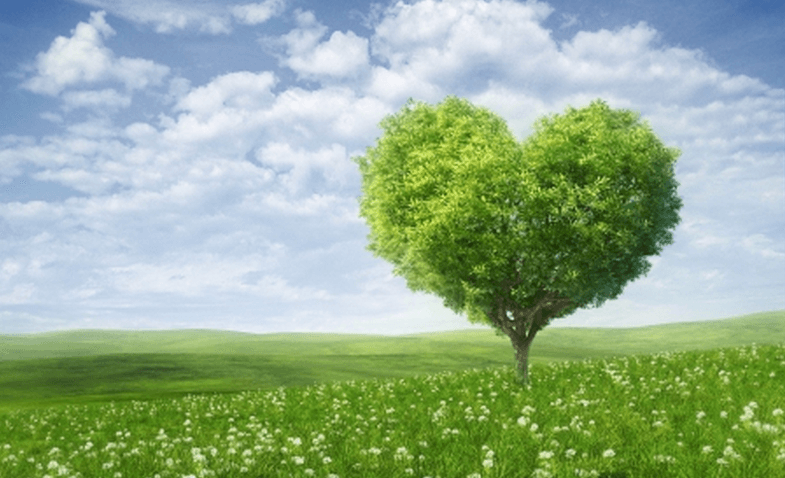 Baum mit Herz Form - Soziales Handeln